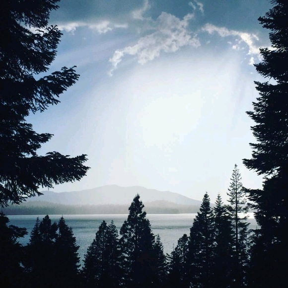 Meet your Posher, Nicole - Picture 1 of 1